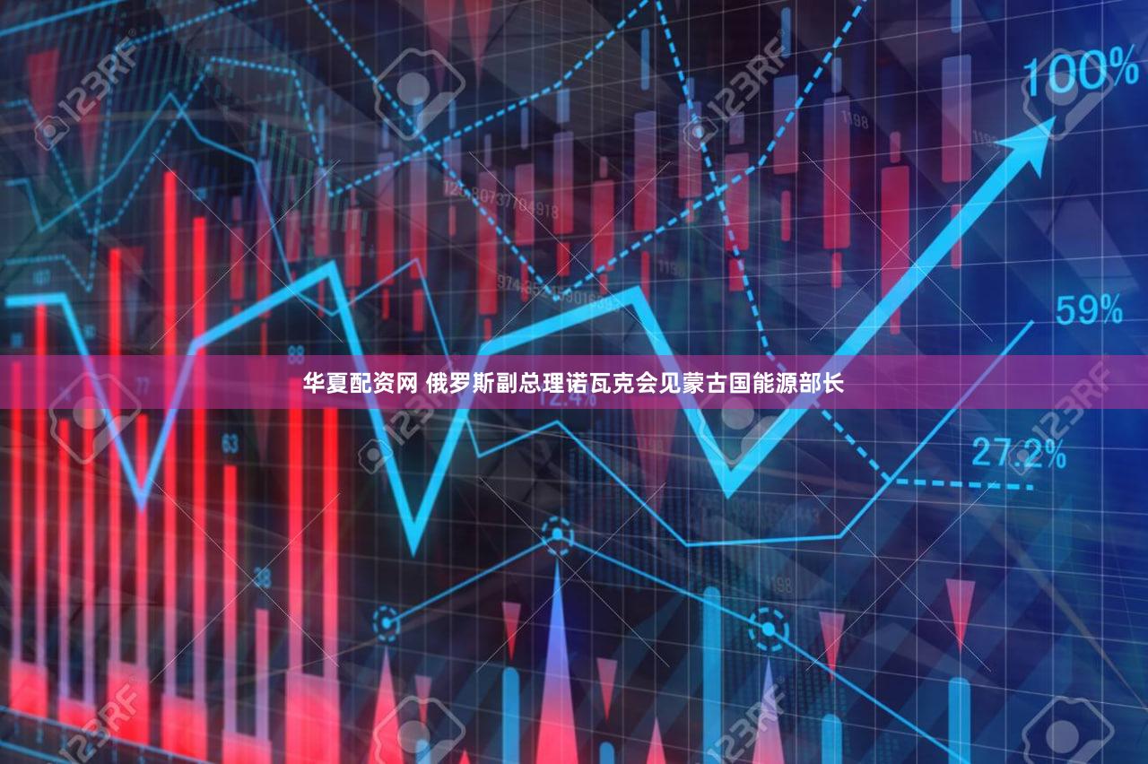 华夏配资网 俄罗斯副总理诺瓦克会见蒙古国能源部长