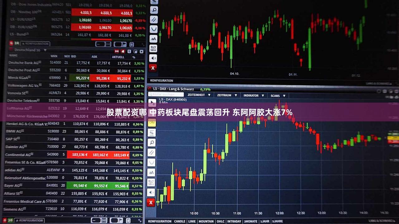 股票配资哪 中药板块尾盘震荡回升 东阿阿胶大涨7%