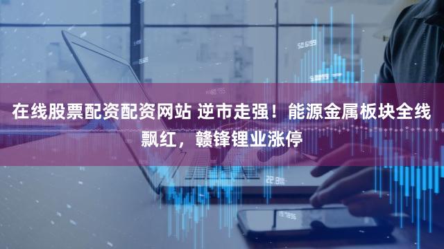 在线股票配资配资网站 逆市走强！能源金属板块全线飘红，赣锋锂业涨停
