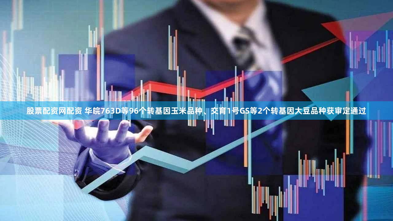 股票配资网配资 华皖763D等96个转基因玉米品种、交育1号GS等2个转基因大豆品种获审定通过