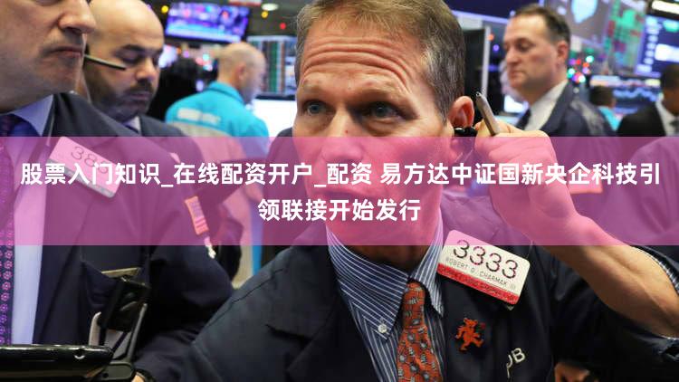 股票入门知识_在线配资开户_配资 易方达中证国新央企科技引领联接开始发行