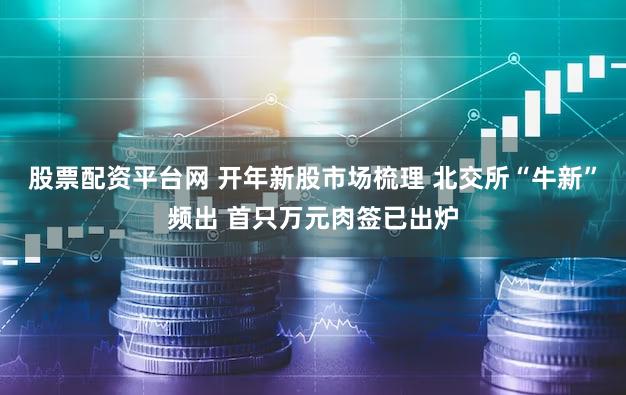 股票配资平台网 开年新股市场梳理 北交所“牛新”频出 首只万元肉签已出炉