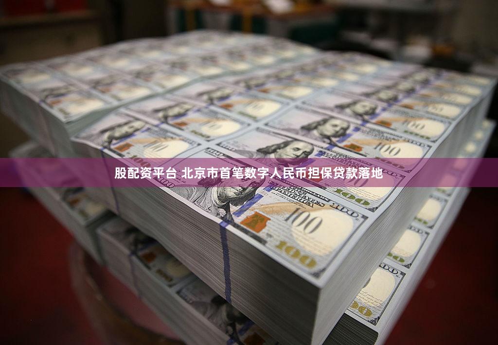 股配资平台 北京市首笔数字人民币担保贷款落地