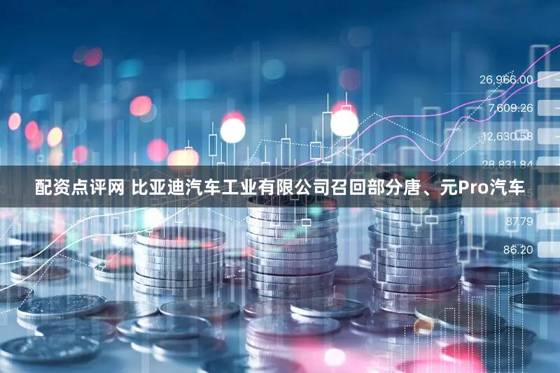配资点评网 比亚迪汽车工业有限公司召回部分唐、元Pro汽车