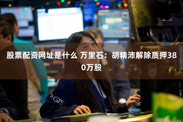 股票配资网址是什么 万里石:胡精沛解除质押380万股