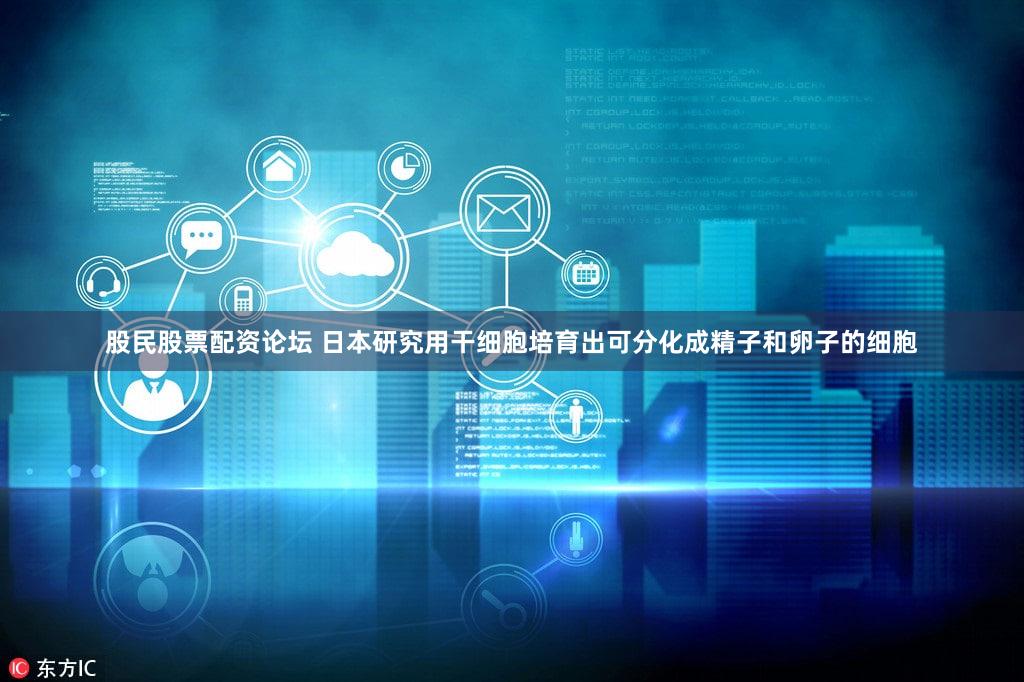 股民股票配资论坛 日本研究用干细胞培育出可分化成精子和卵子的细胞