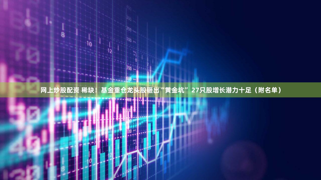 网上炒股配资 稀缺！基金重仓龙头股砸出“黄金坑” 27只股增长潜力十足（附名单）