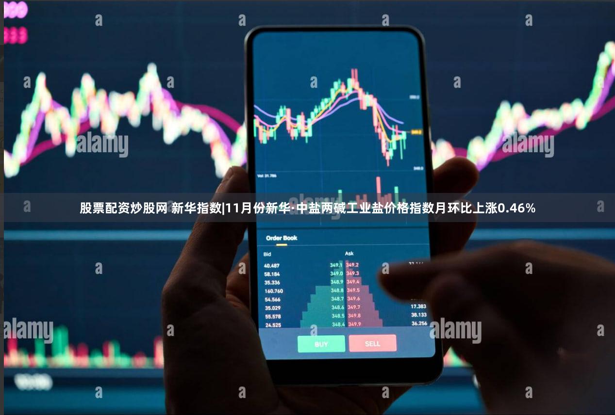 股票配资炒股网 新华指数|11月份新华·中盐两碱工业盐价格指数月环比上涨0.46%