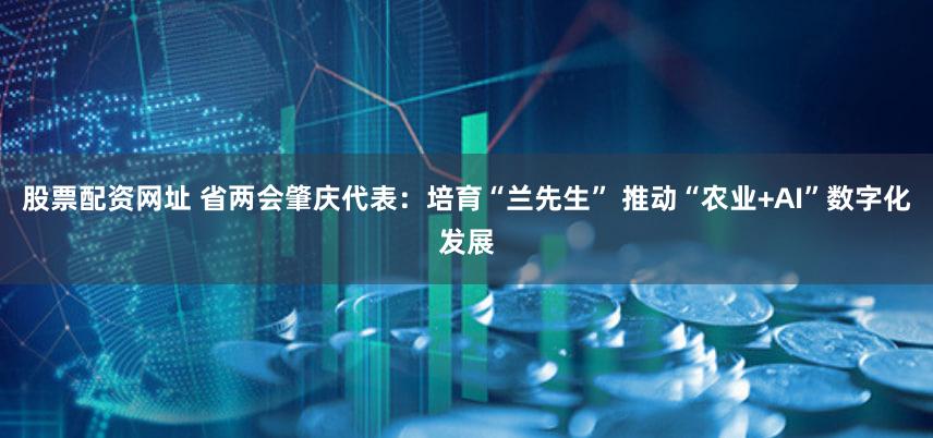 股票配资网址 省两会肇庆代表：培育“兰先生” 推动“农业+AI”数字化发展