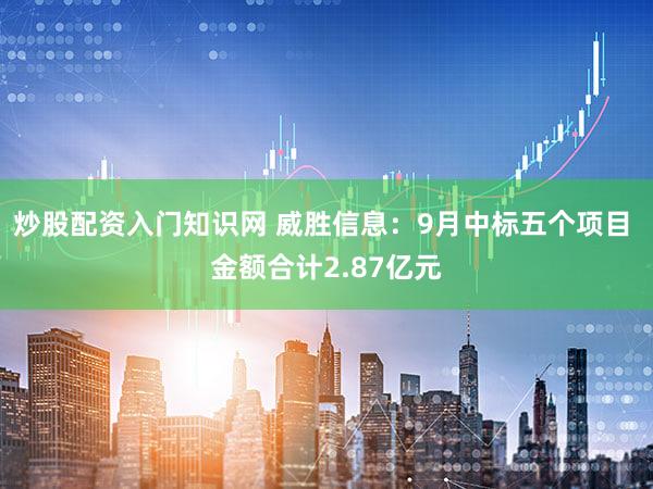 炒股配资入门知识网 威胜信息：9月中标五个项目 金额合计2.87亿元