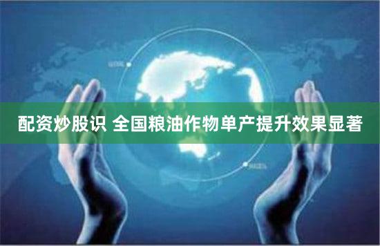 配资炒股识 全国粮油作物单产提升效果显著